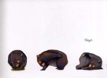 jackie french wombat jackie french wombat